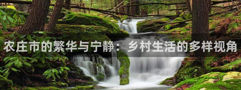 天顺娱乐坛70648