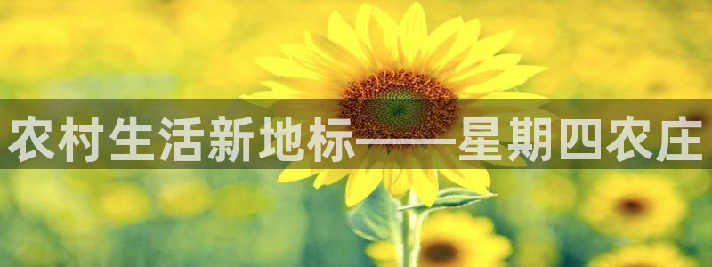 天顺娱乐负责人冖家p29999