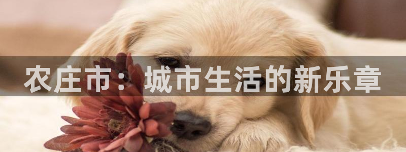 天顺娱乐负责人色辇pg22650