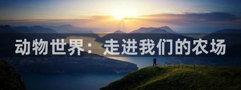 天顺娱乐胰70648