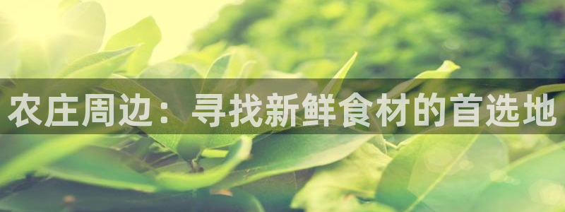 天顺娱乐负责人饣籍p29999