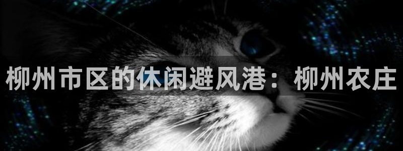 天顺娱乐禾必信pg22650