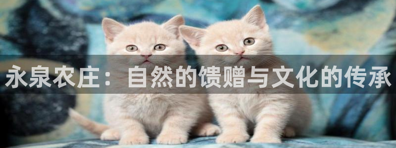 天顺娱乐开户条件