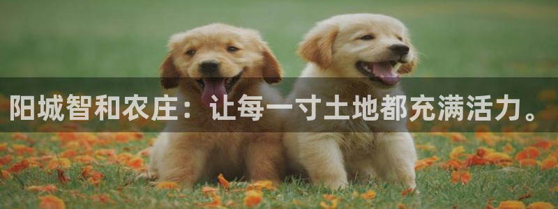 汝城天顺娱乐怎么样