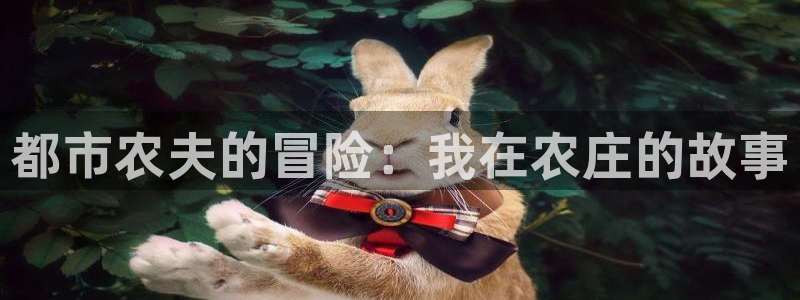天顺娱乐澳70 48