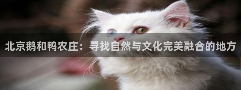 天顺娱乐尤7O667