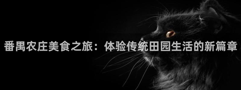 天顺娱乐糸疋55312