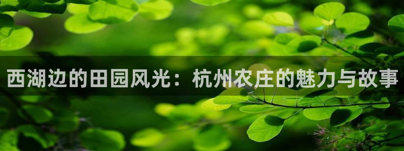 天顺娱乐疵泳