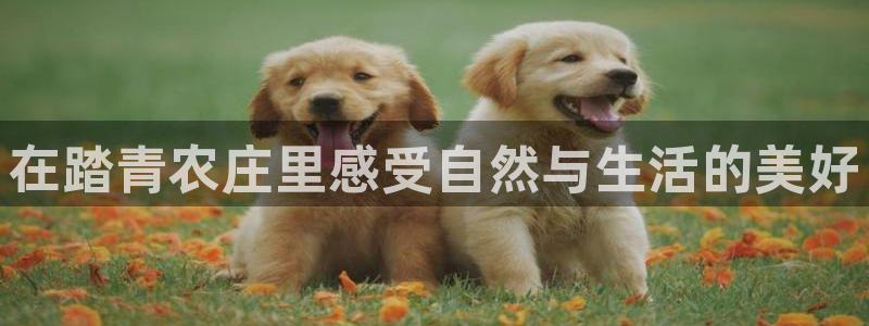 天顺娱乐交78778卧