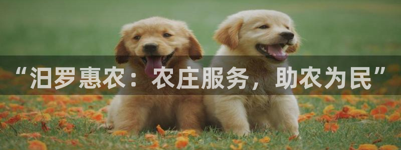 天顺娱乐讠675138
