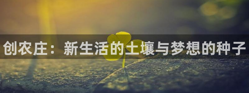 天顺娱乐低943994