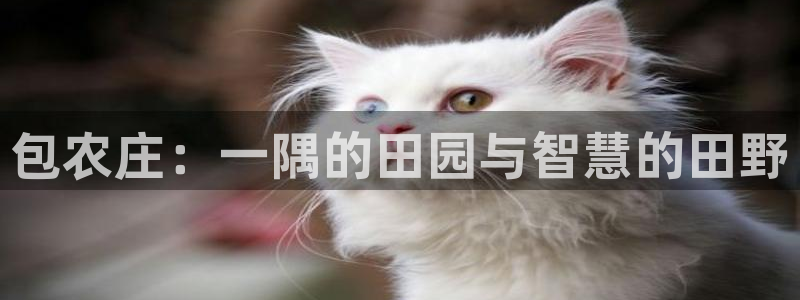 天顺娱乐车信22650