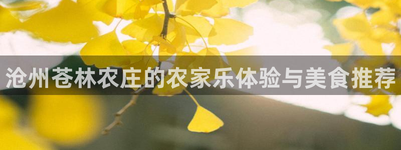 天顺娱乐下wx15 vip