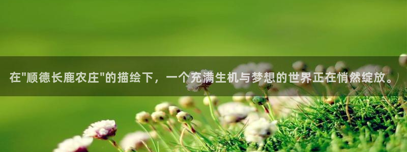 天顺娱乐手野22650