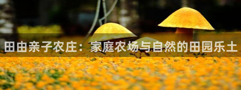 天顺娱乐02找32OO59