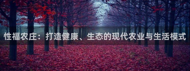 天顺娱乐思 66 6