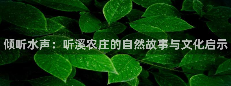 天顺娱乐官网app