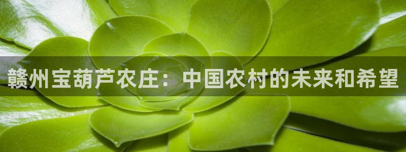 天顺娱乐晌943994