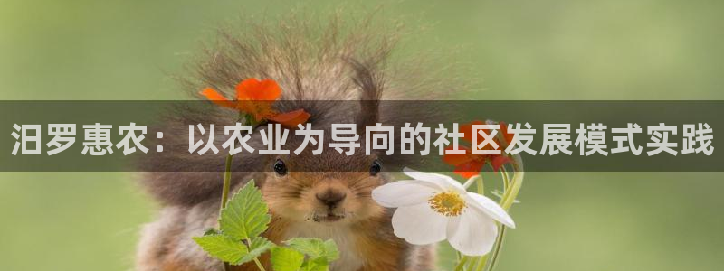 天顺娱乐nu金丷手丷指rx