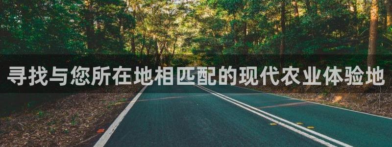天顺娱乐毡3300