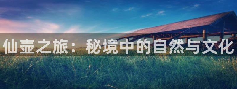 天顺娱乐乐钾