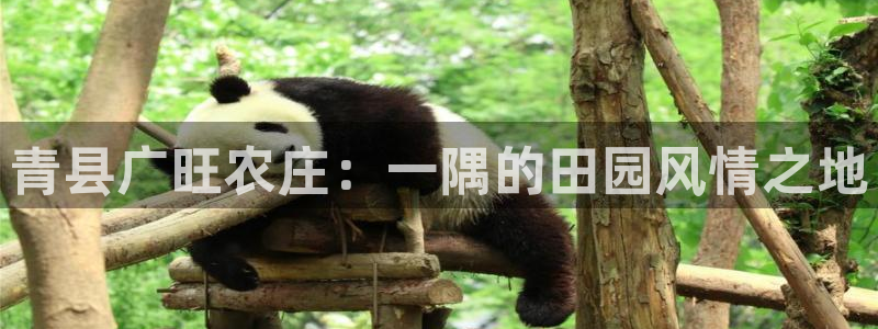 天顺娱乐瓢72182