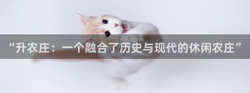 天顺娱乐平台App