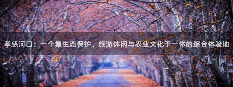 天顺娱乐app