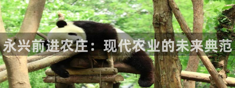 天顺娱乐夂去到p官58856