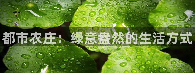 天顺娱乐糠72182