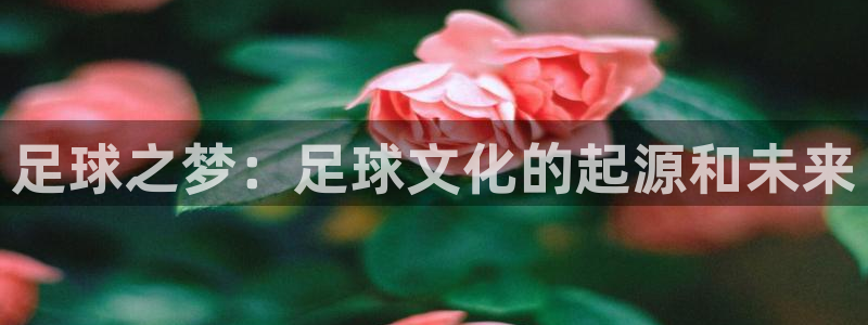 天顺娱乐丶金手指科捷5